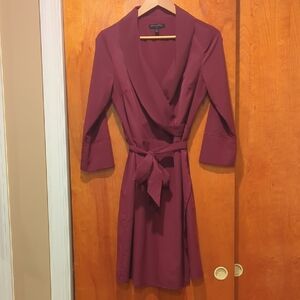 Banana Republic Plum Garment
